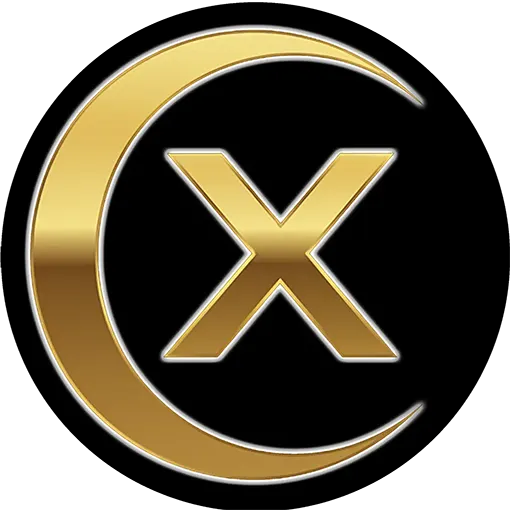 Ay VPN X Logo